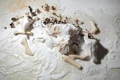 IL CANE (DI CERA) SI DECOMPONE...SI CHIAMA ARTE