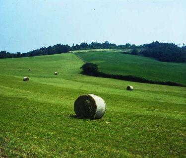 La Regione Lazio sostiene il programma di sviluppo rurale