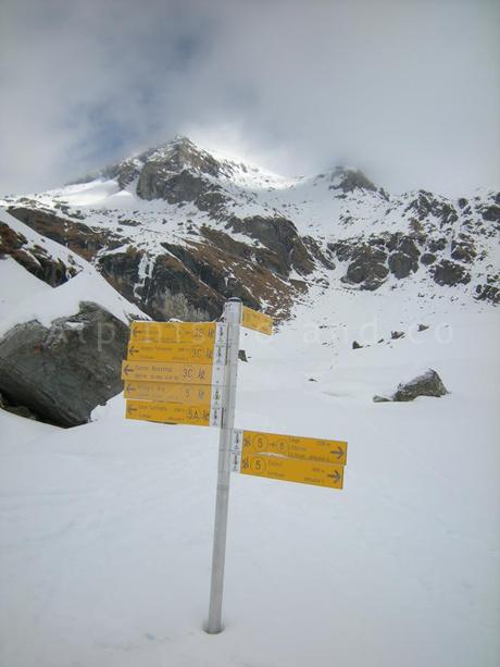 Punta Palasina: Scialpinismo in Val d’Ayas