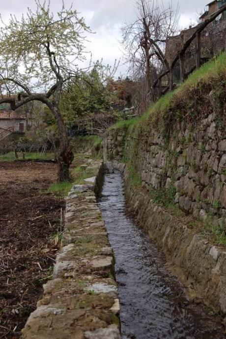 Agricoltura urbana – “Orto di Fedro”