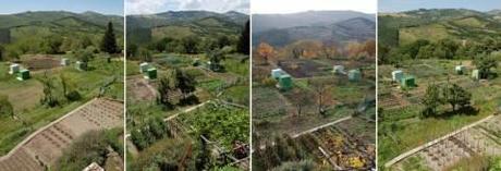 Agricoltura urbana – “Orto di Fedro”