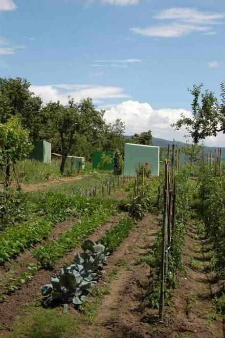 Agricoltura urbana – “Orto di Fedro”