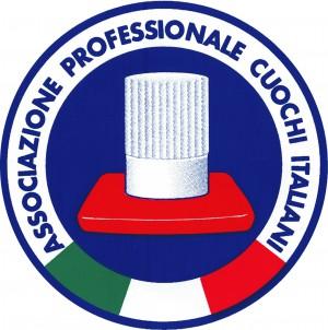 logo APCI