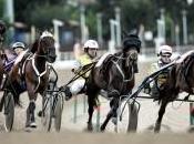 Ippica: Trofeo delle Regioni Michele Bechis Perge