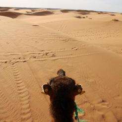 Deserto del Sahara - Marocco