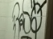 Videoshock bagni Sapienza. vuoi capire civiltà struttura pubblica, guarda suoi cessi. Ecco, appunto