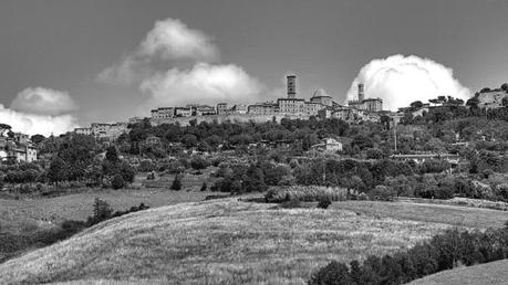 Volterra 