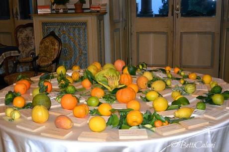 20141121_I frutti_della_terra (10)_