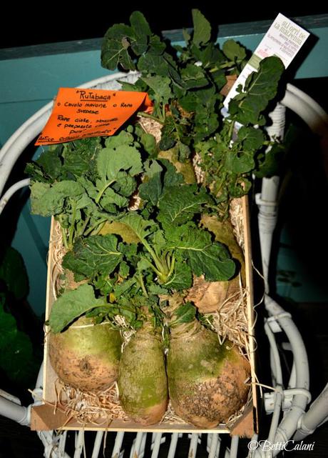 Tra mele e cavoli la mia zucca fiorita