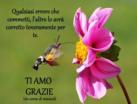 È soltanto una illusione ciò che si interpone tra tuo fratello e te e il santo Essere che condividete.