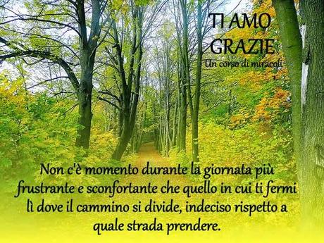 È soltanto una illusione ciò che si interpone tra tuo fratello e te e il santo Essere che condividete.