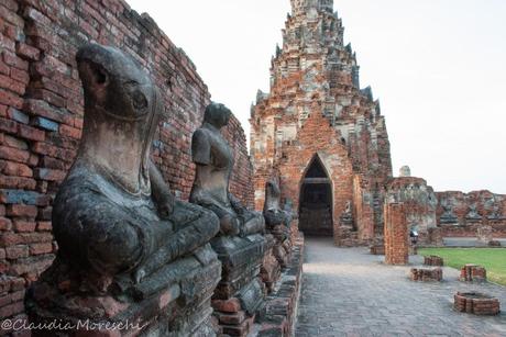 Scoprendo Ayutthaya in sella a una bici