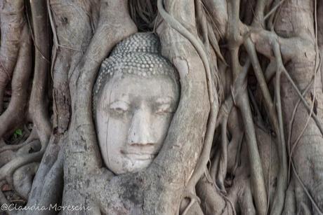 Scoprendo Ayutthaya in sella a una bici