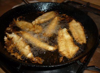 frittura di alici