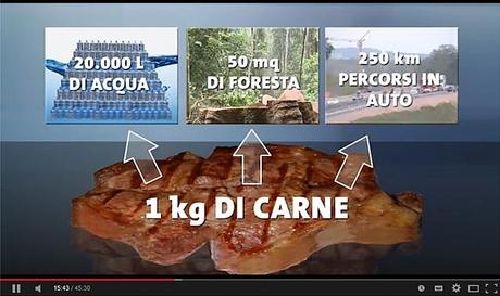 Dossier sulla carne