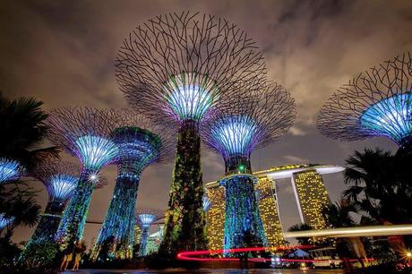 Supertree Grove - Lighting wonderful in Singapore