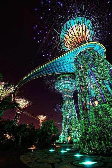 Supertree Grove - Lighting wonderful in Singapore