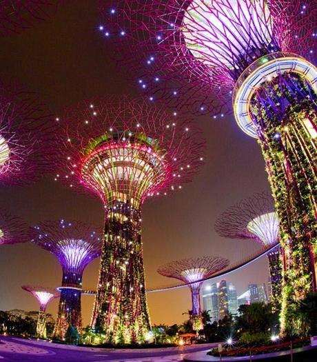 Supertree Grove - Lighting wonderful in Singapore