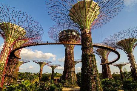 Supertree Grove - Lighting wonderful in Singapore