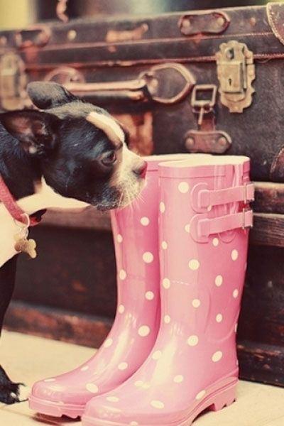 rain-boots