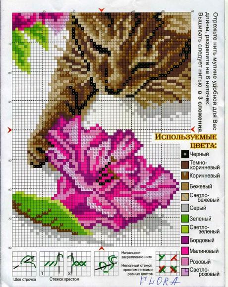 Schema puntocroce gatti