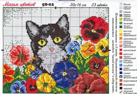 Schema puntocroce gatti