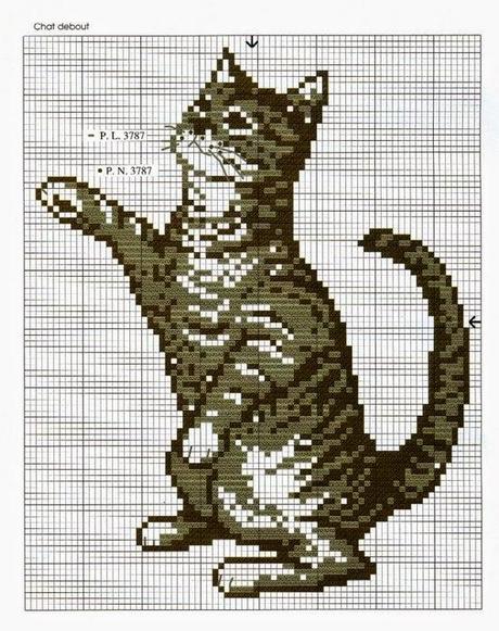 Schema puntocroce gatti