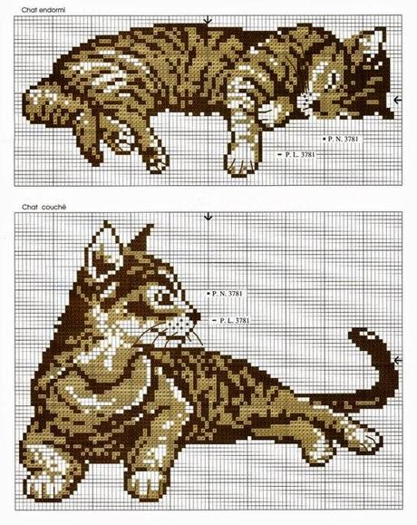Schema puntocroce gatti