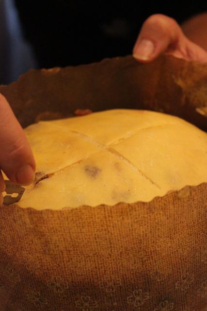 Panettone in casa. Come prepararlo, guida completa