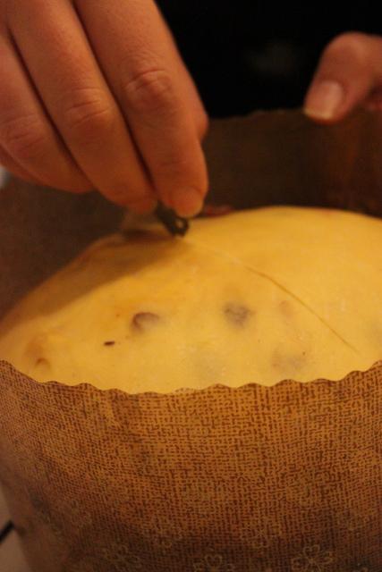 Panettone in casa. Come prepararlo, guida completa