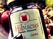geleia Hibiscus sabdariffa strepitosa formaggi