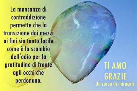 Vedrai il tuo valore attraverso gli occhi di tuo fratello e ognuno sarà liberato nel veder l'altro innocente. Parte 1.