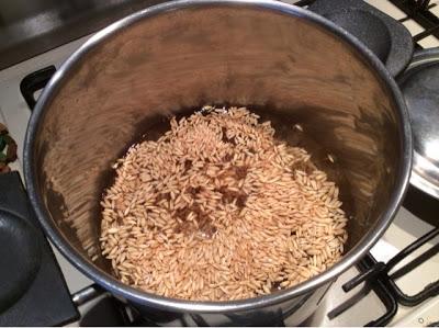 Minestra di avena alle verdure