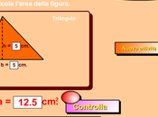 Impara calcolare aree quadrilateri