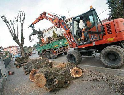 Coazione a ripetere per ciellini invecchiati: imprese adorabili, ruspe e motoseghe