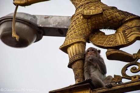Tappa a Lopburi, la città delle scimmie