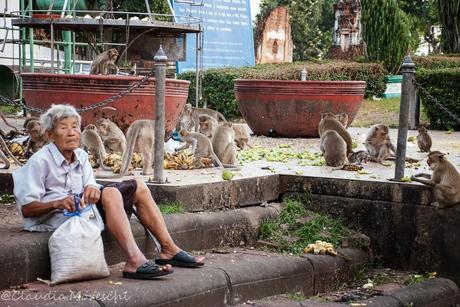 Tappa a Lopburi, la città delle scimmie