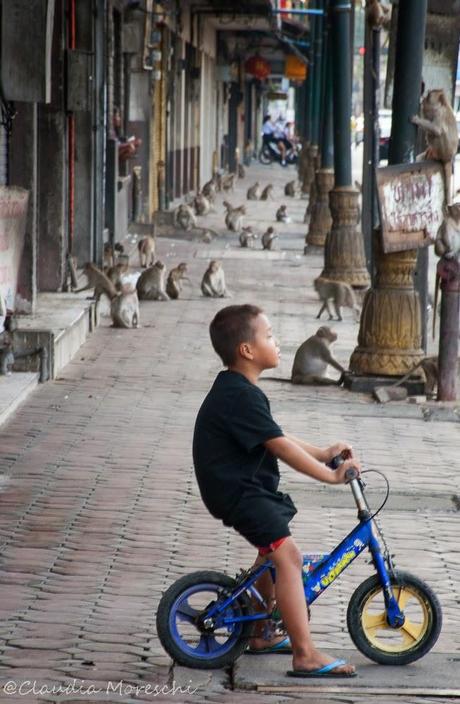 Tappa a Lopburi, la città delle scimmie