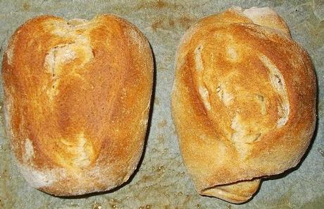 Focaccia, pane e pizza con le patate