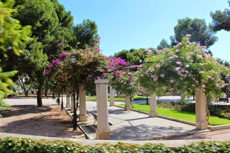 PALMA, UN GIRO SULL'AUTOBUS TURISTICO(6)