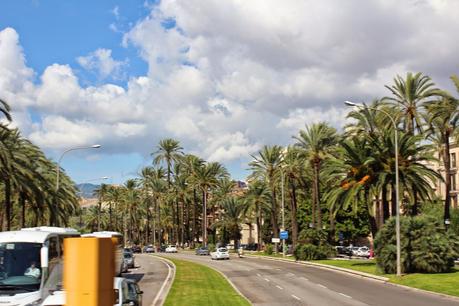 PALMA, UN GIRO SULL'AUTOBUS TURISTICO(6)