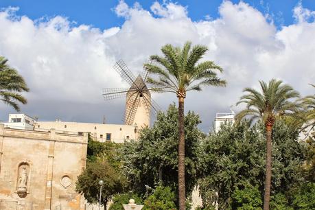 PALMA, UN GIRO SULL'AUTOBUS TURISTICO(6)