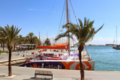 PALMA, UN GIRO SULL'AUTOBUS TURISTICO(6)