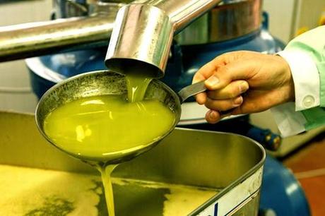 Pavia. La raccolta dell'olio alimentare domestico per evitare danni ambientali.