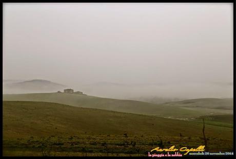 la pioggia e la nebbia