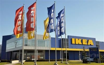 L'IKEA UN'AZIENDA? - No è una onlus ecco come aggira il fisco