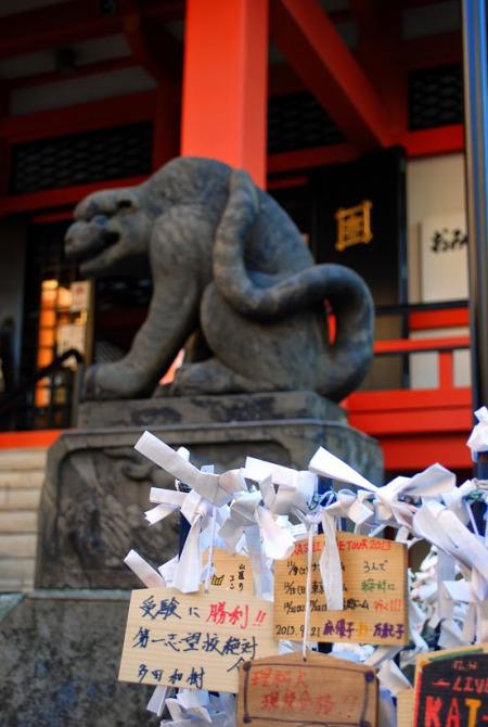 Zenkoku-ji (foto di Patrick Colgan, 2014)