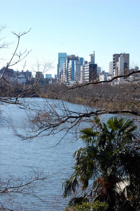 Kagurazaka (foto di Patrick Colgan, 2013)