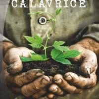 Calavrice