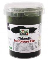 Chlorella in Polvere